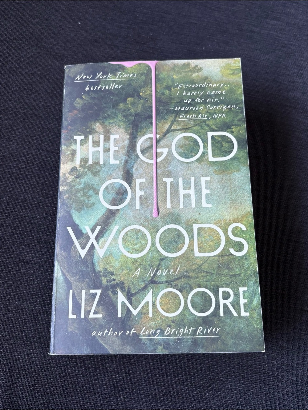 The God of the Woods - Paperback Book